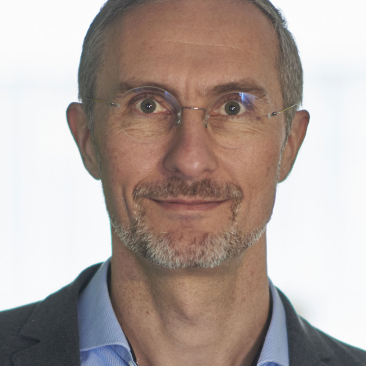 Professor Ivan Huc
